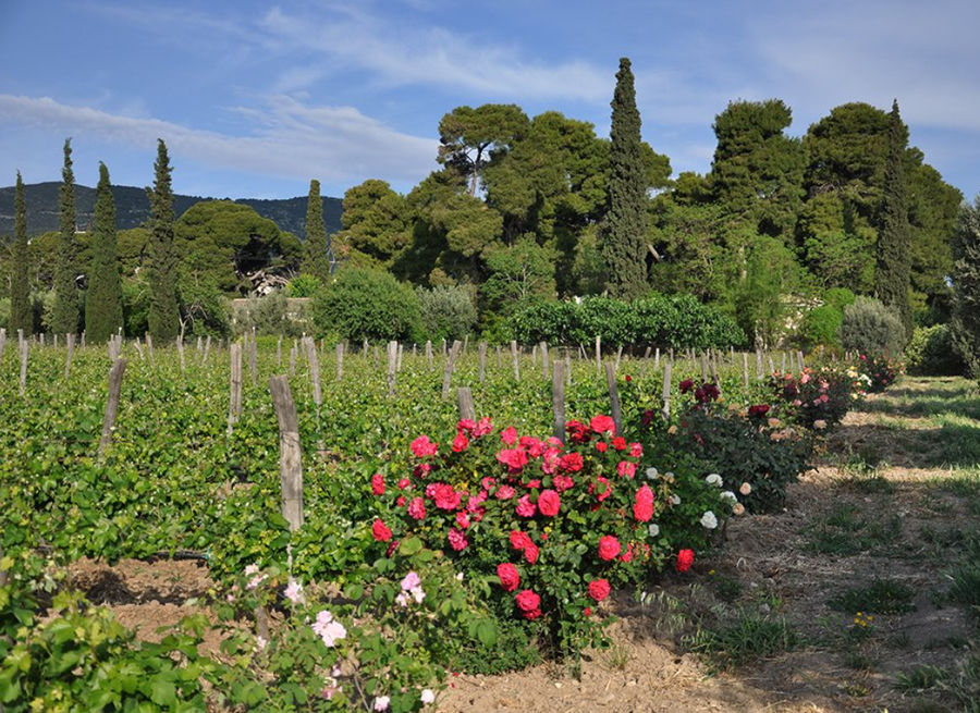 Στιγμιότυπο οθόνης 2025-11-17 181321.png